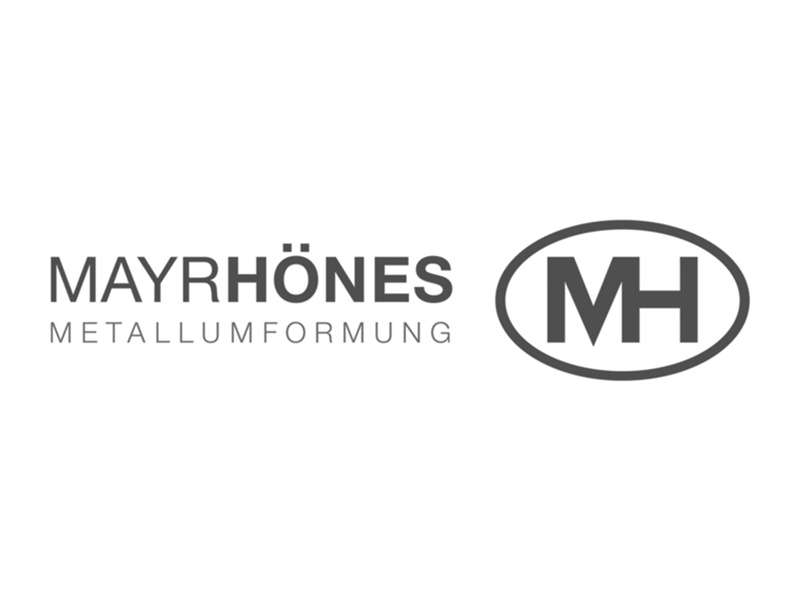 Teldanet GmbH: Mayrhönes Logo